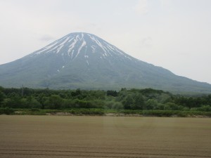 地方都市のエリアマネジメント事例：北海道・ニセコエリア